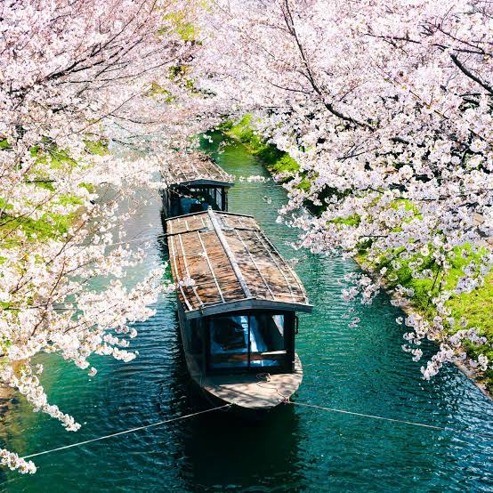 japan tourism